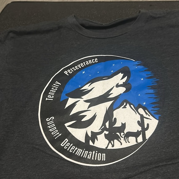 PTSD perseverance.  Tenacity.  Support.  Determination -GrayBlack 2 med 1 large - Picture 7 of 8